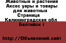 Животные и растения Аксесcуары и товары для животных - Страница 3 . Калининградская обл.,Балтийск г.